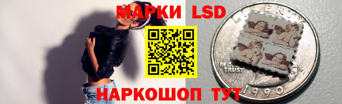 Галлюциногенные грибы Мариинск