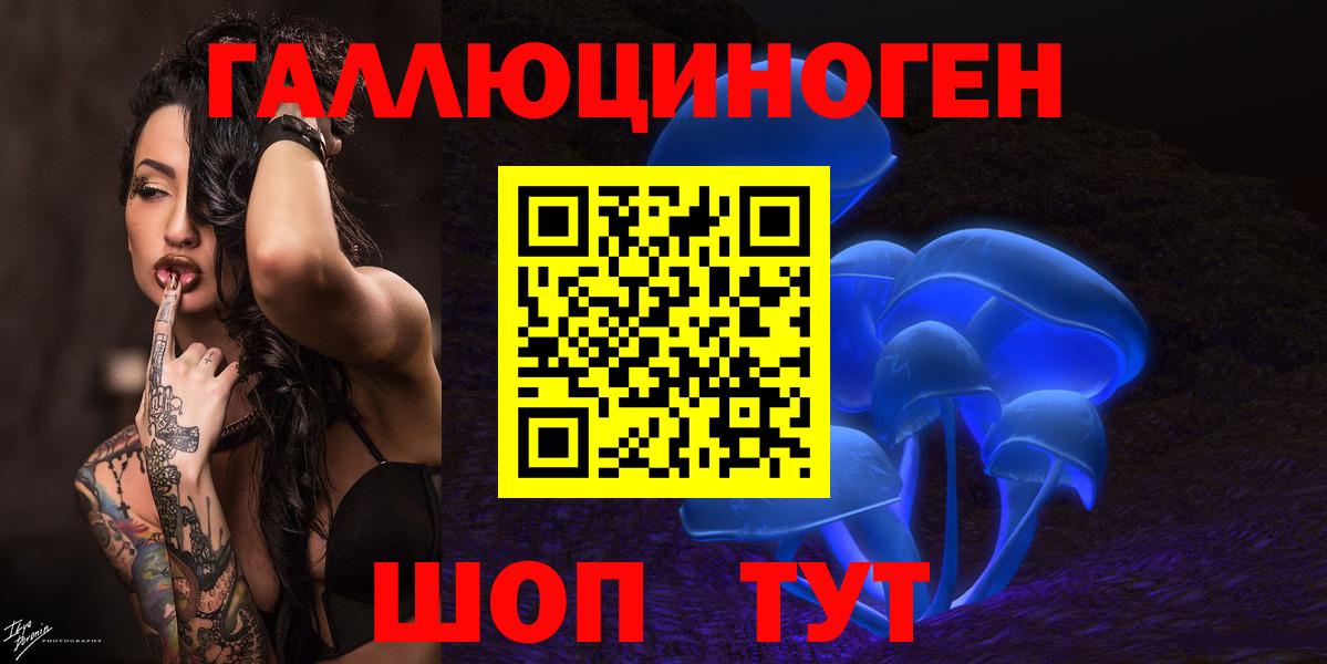Псилоцибиновые грибы Psilocybe Мариинск