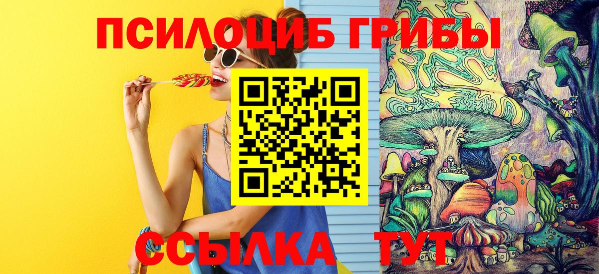 купить закладку  Псилоцибиновые грибы мицелий  Вход с VPN  Мариинск 